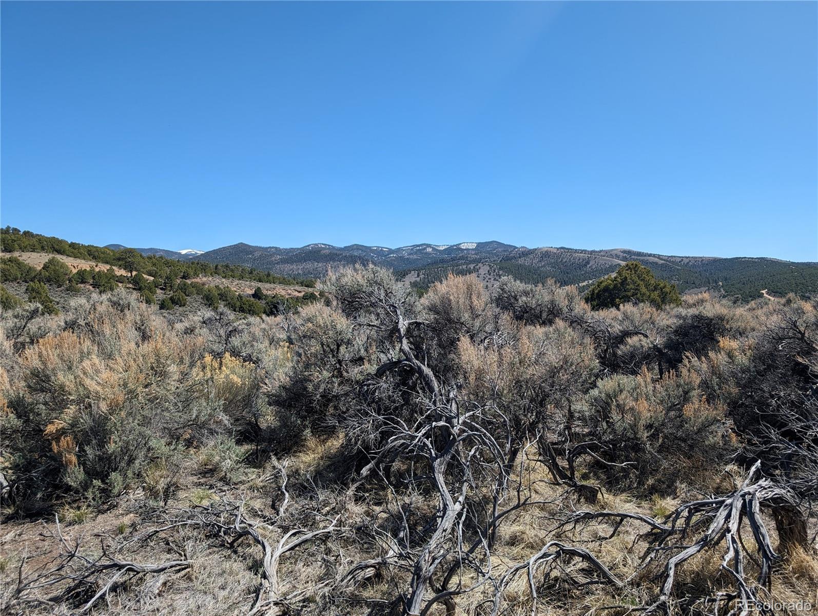 Lot 7504 Boseman, Fort Garland, CO 81133, ,Land,For Sale,Boseman,REC5378735