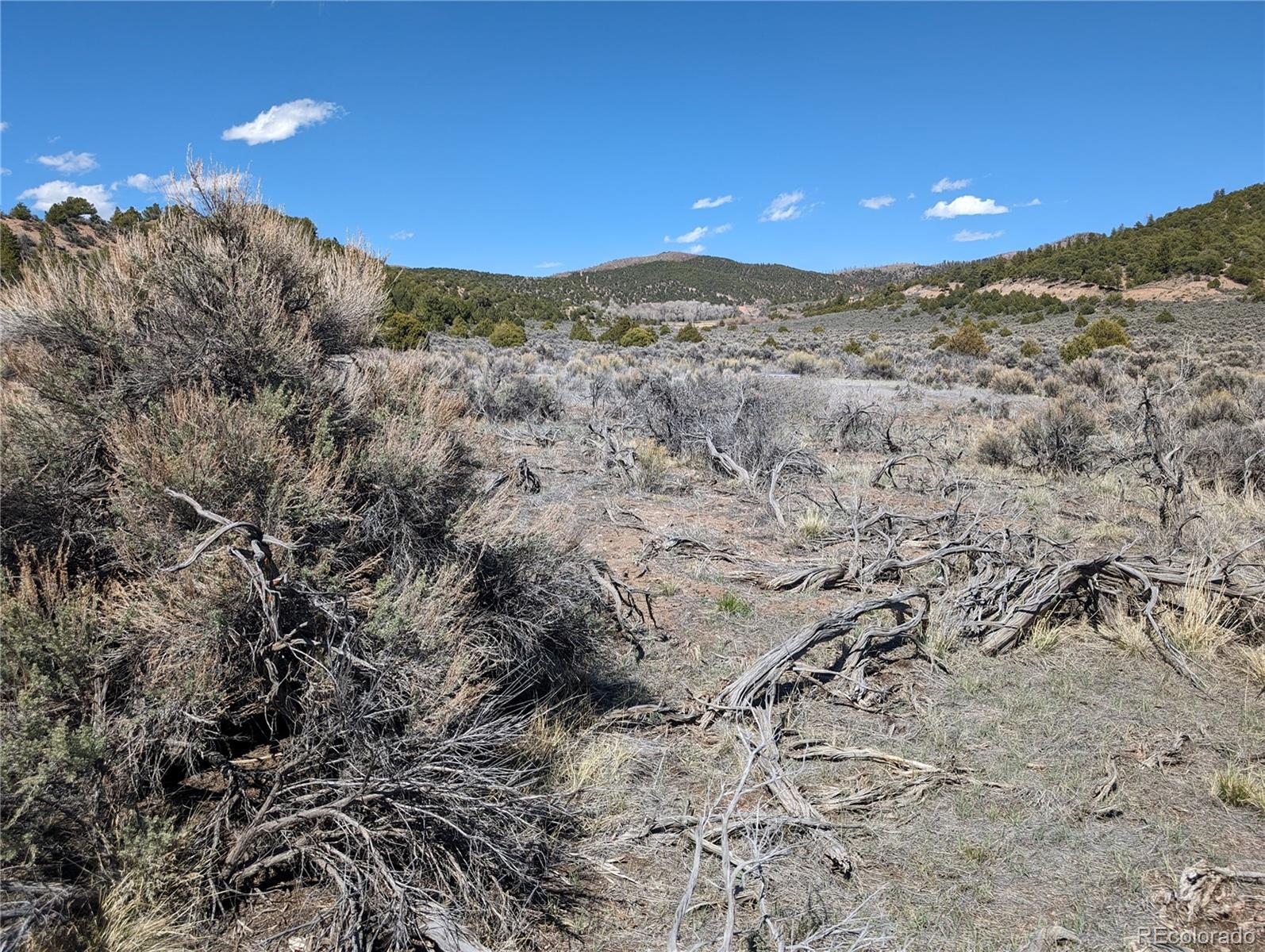 Lot 7504 Boseman, Fort Garland, CO 81133, ,Land,For Sale,Boseman,REC5378735