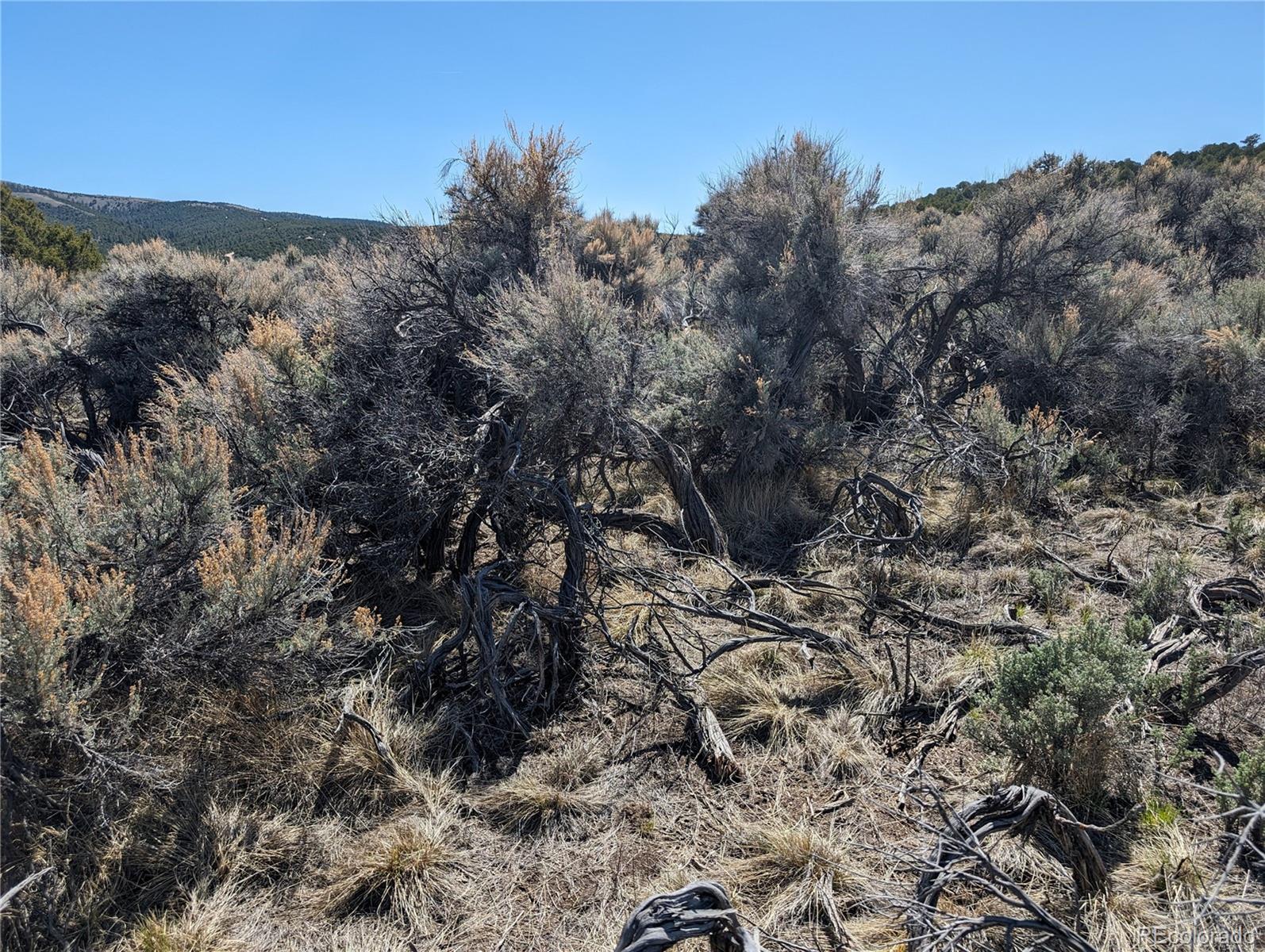 Lot 7504 Boseman, Fort Garland, CO 81133, ,Land,For Sale,Boseman,REC5378735