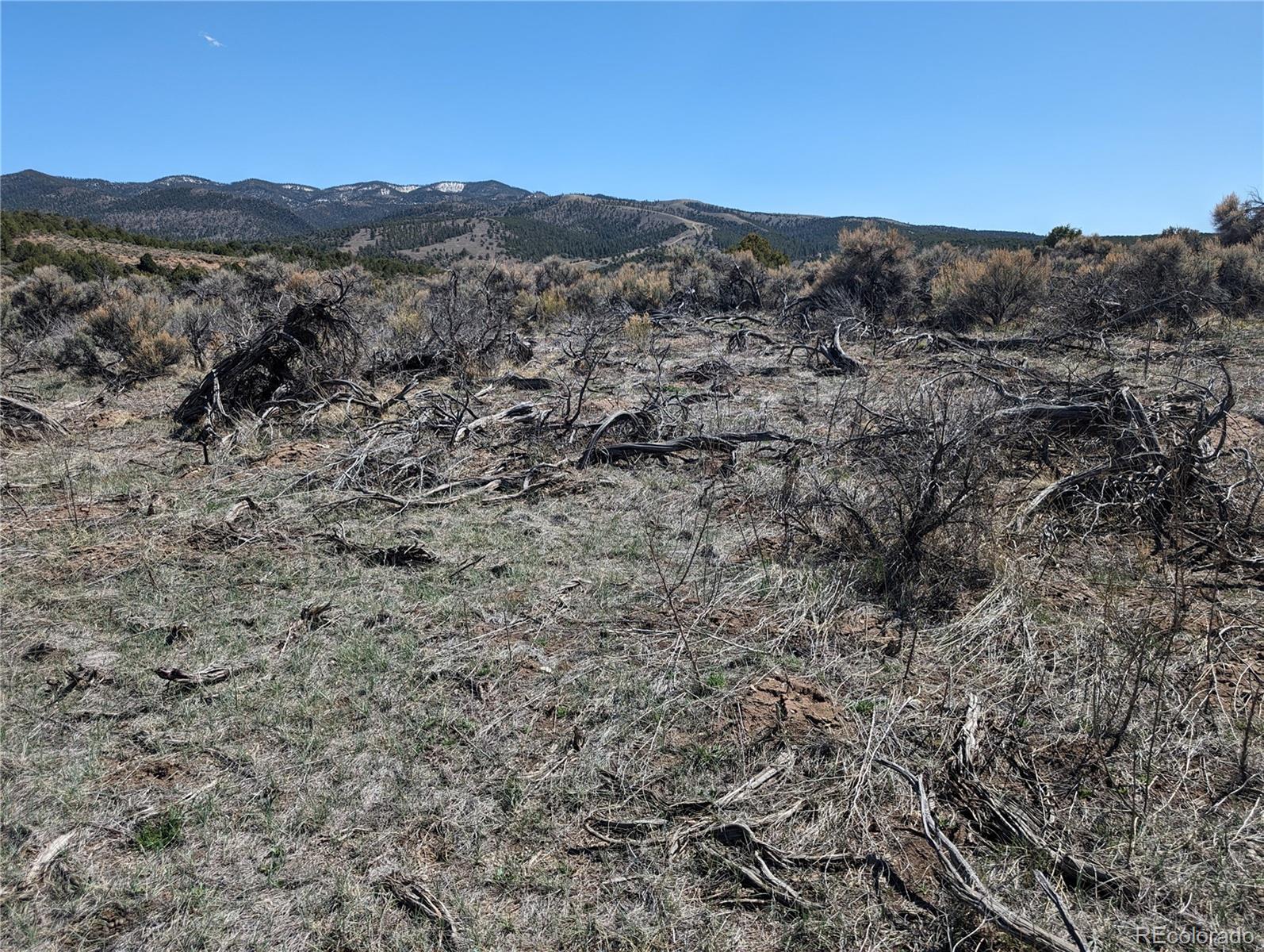 Lot 7504 Boseman, Fort Garland, CO 81133, ,Land,For Sale,Boseman,REC5378735