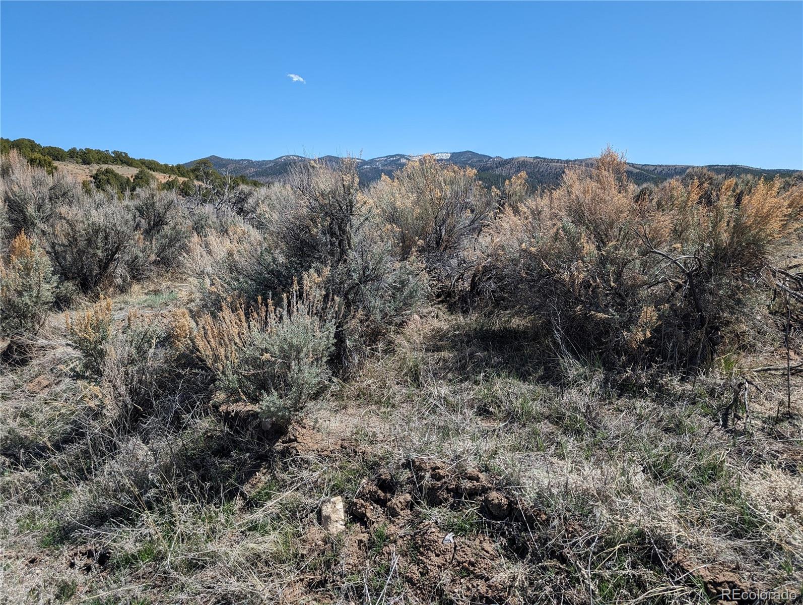 Lot 7504 Boseman, Fort Garland, CO 81133, ,Land,For Sale,Boseman,REC5378735