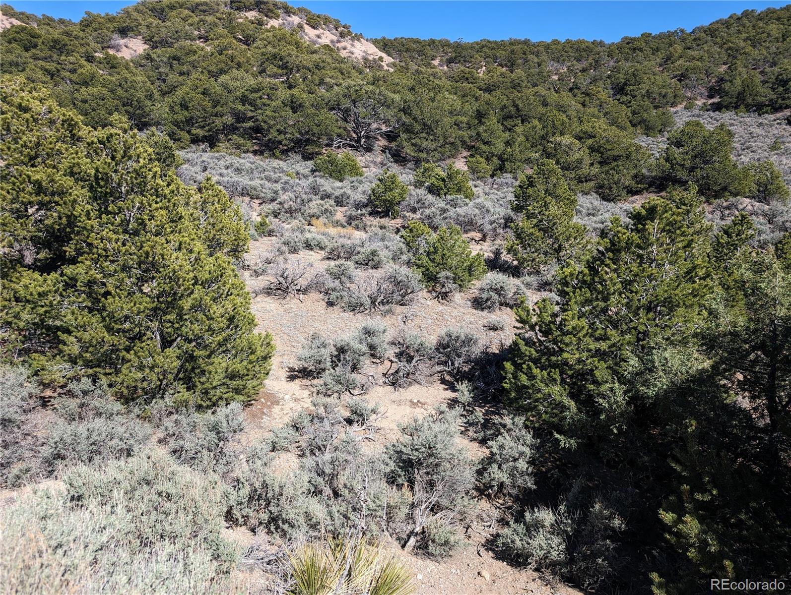 Lot 2131 Trujillo Road, Fort Garland, CO 81133, ,Land,For Sale,Trujillo,REC5336858