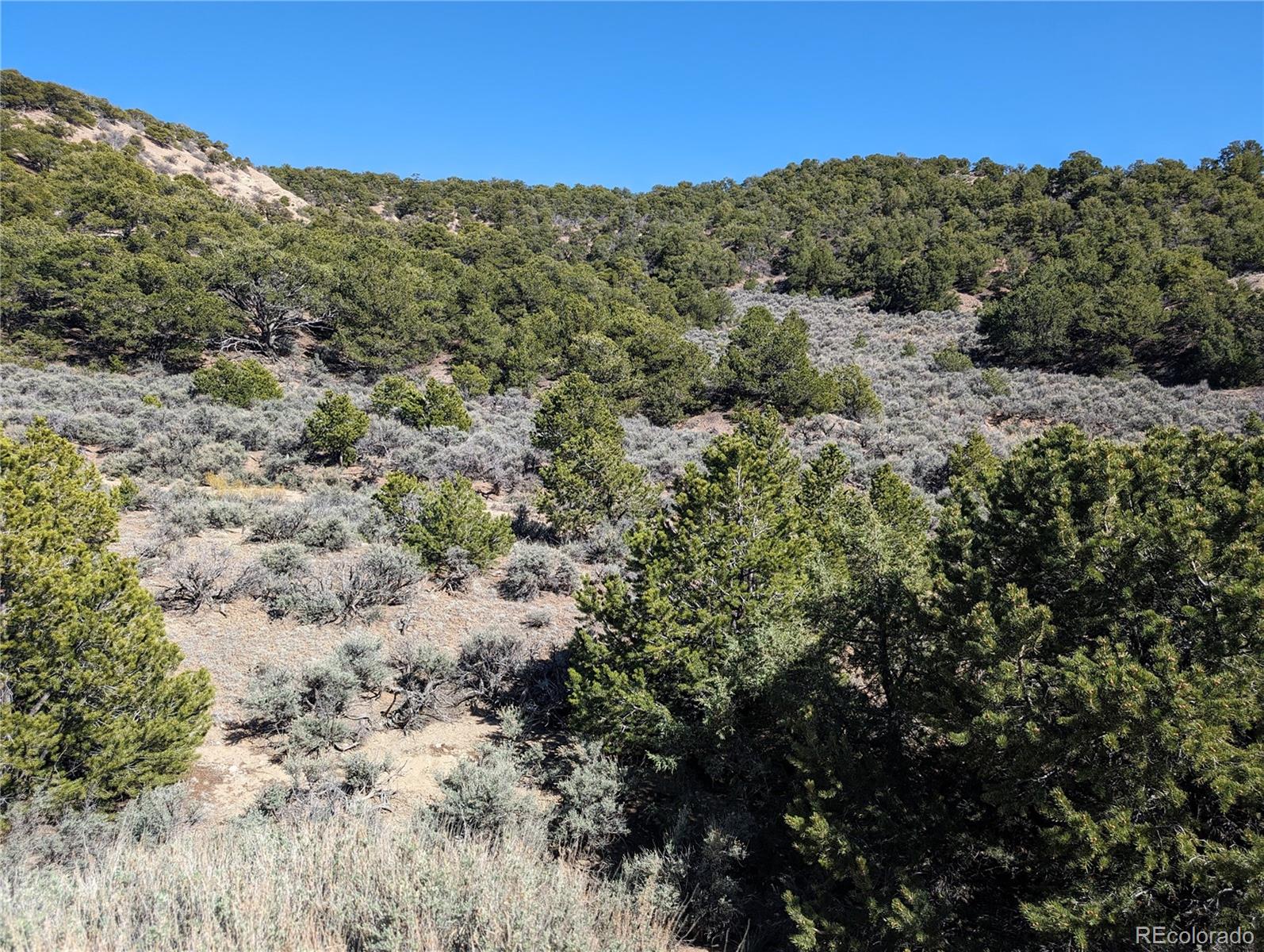 Lot 2131 Trujillo Road, Fort Garland, CO 81133, ,Land,For Sale,Trujillo,REC5336858