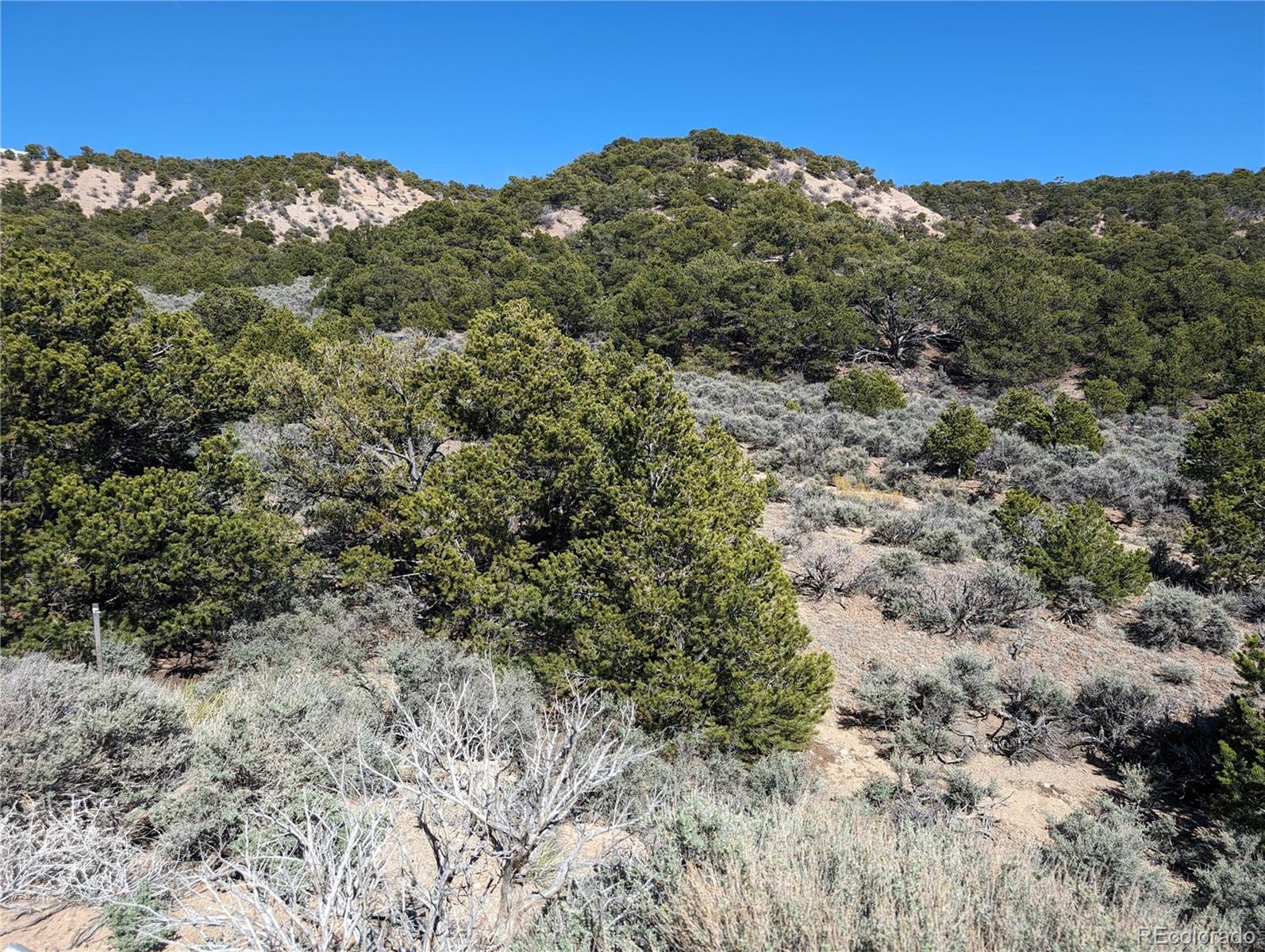 Lot 2131 Trujillo Road, Fort Garland, CO 81133, ,Land,For Sale,Trujillo,REC5336858