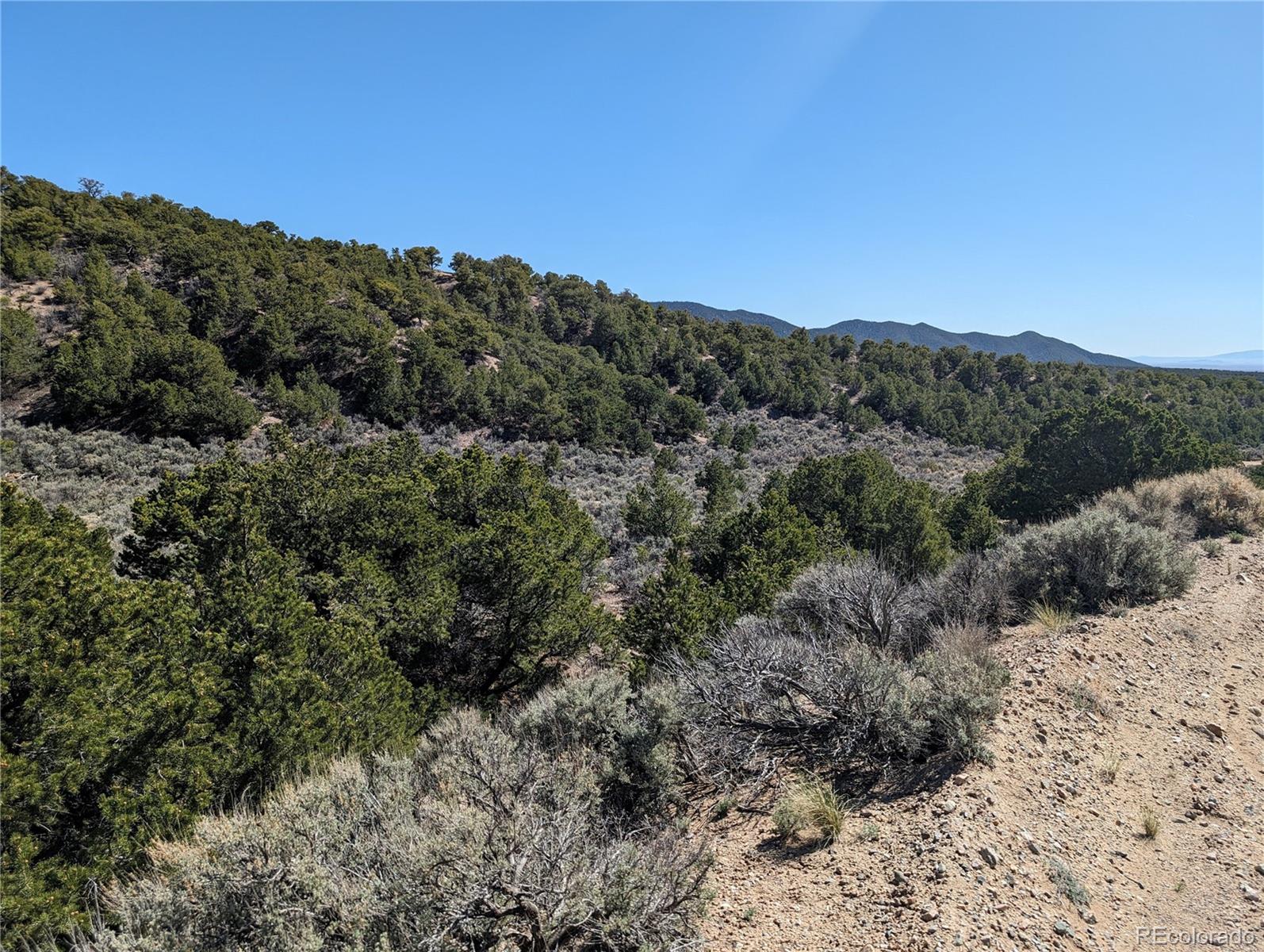 Lot 2131 Trujillo Road, Fort Garland, CO 81133, ,Land,For Sale,Trujillo,REC5336858