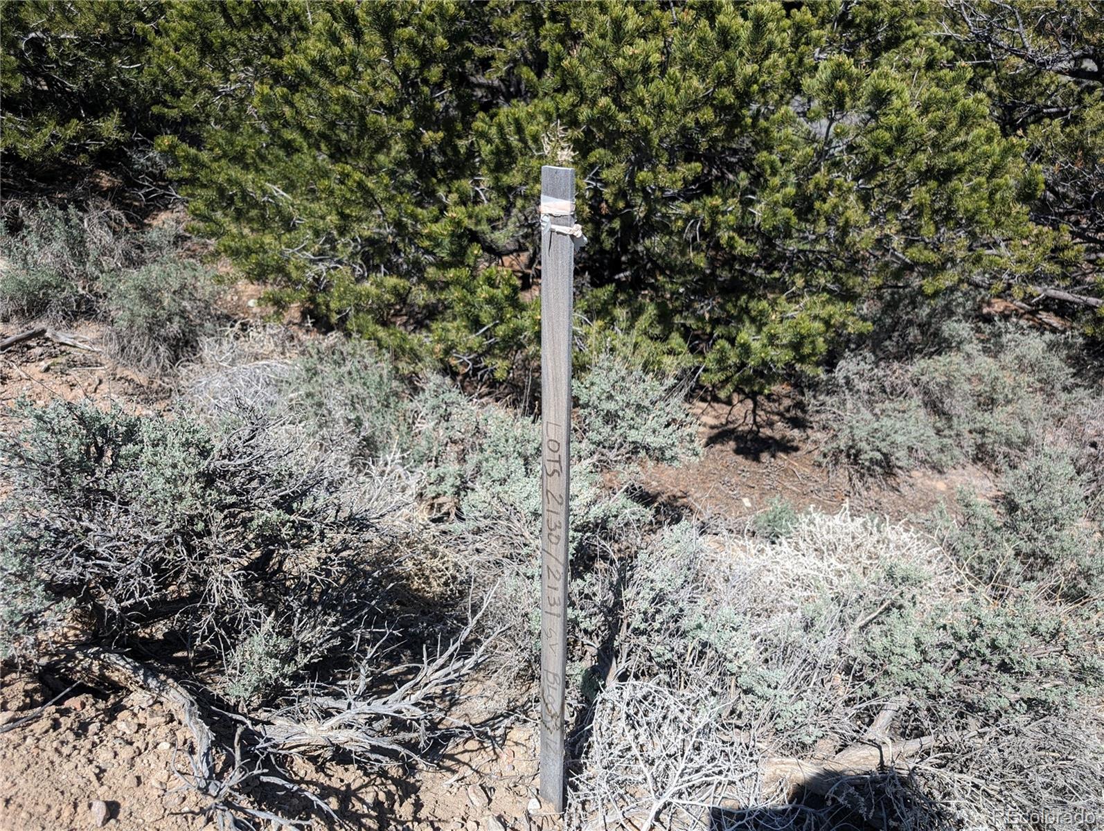 Lot 2131 Trujillo Road, Fort Garland, CO 81133, ,Land,For Sale,Trujillo,REC5336858
