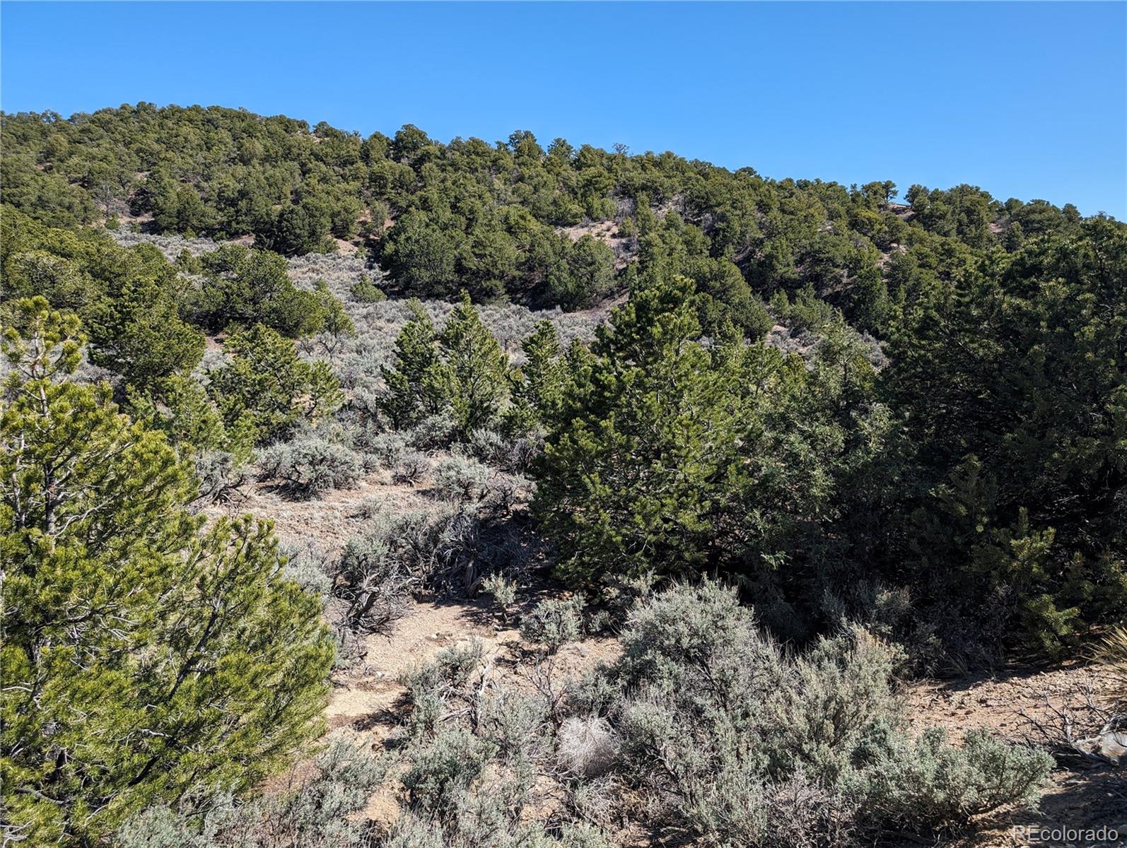 Lot 2131 Trujillo Road, Fort Garland, CO 81133, ,Land,For Sale,Trujillo,REC5336858