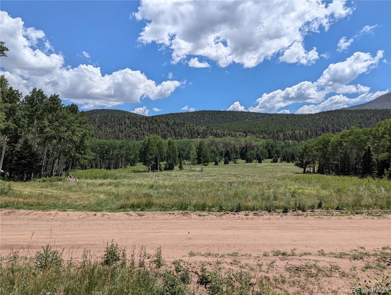 3070 Henderson Drive, Fort Garland, CO 81133, ,Land,For Sale,Henderson,REC6077709