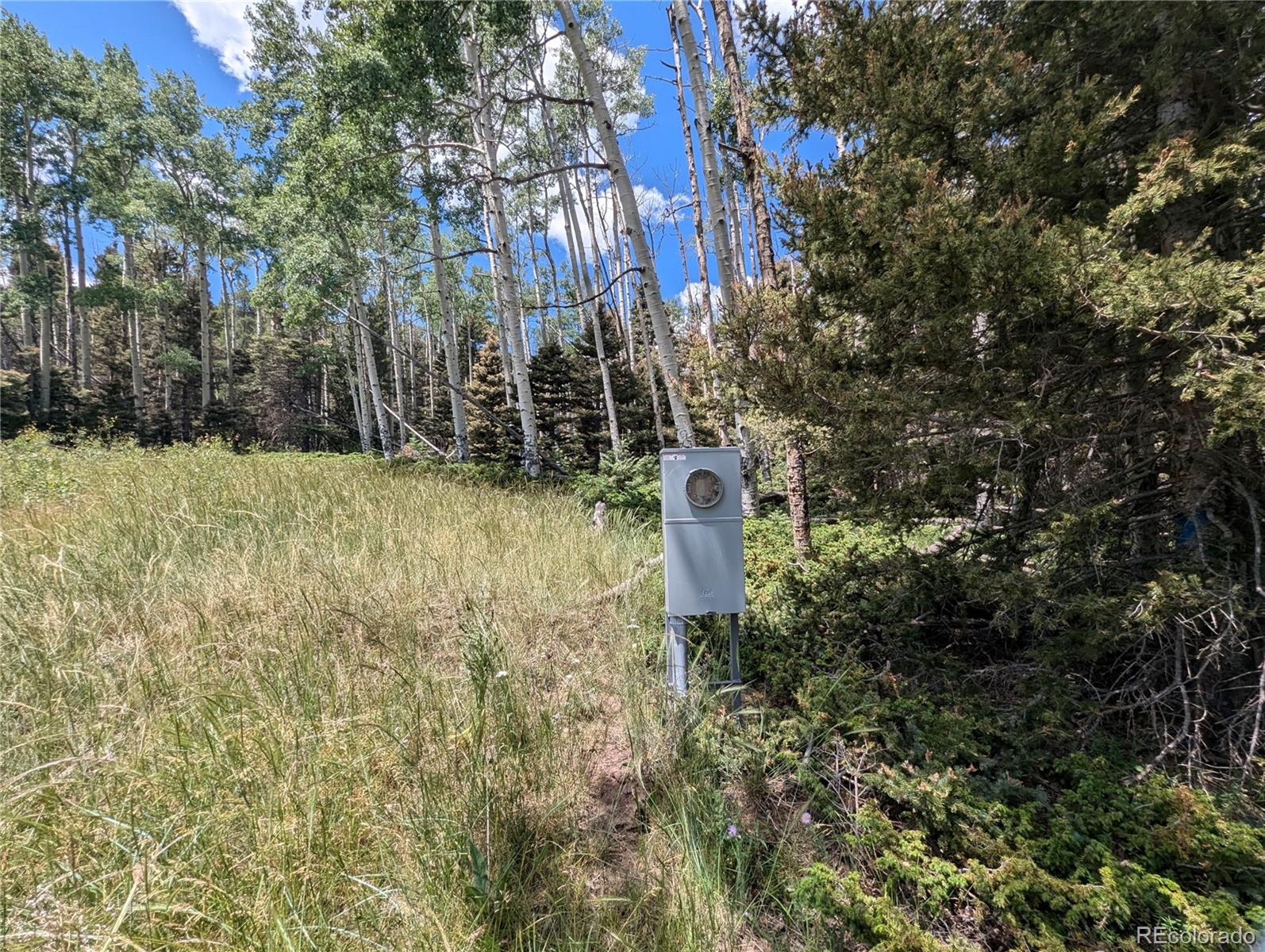 3070 Henderson Drive, Fort Garland, CO 81133, ,Land,For Sale,Henderson,REC6077709