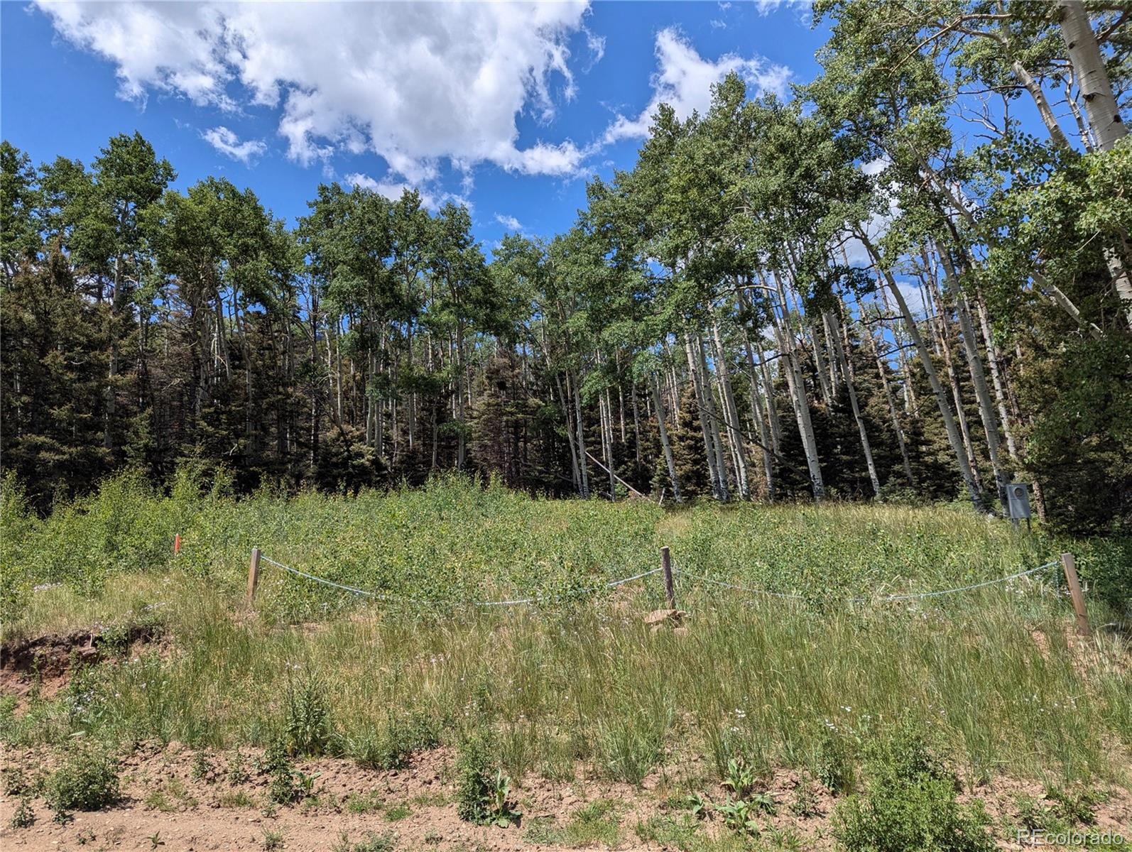3070 Henderson Drive, Fort Garland, CO 81133, ,Land,For Sale,Henderson,REC6077709