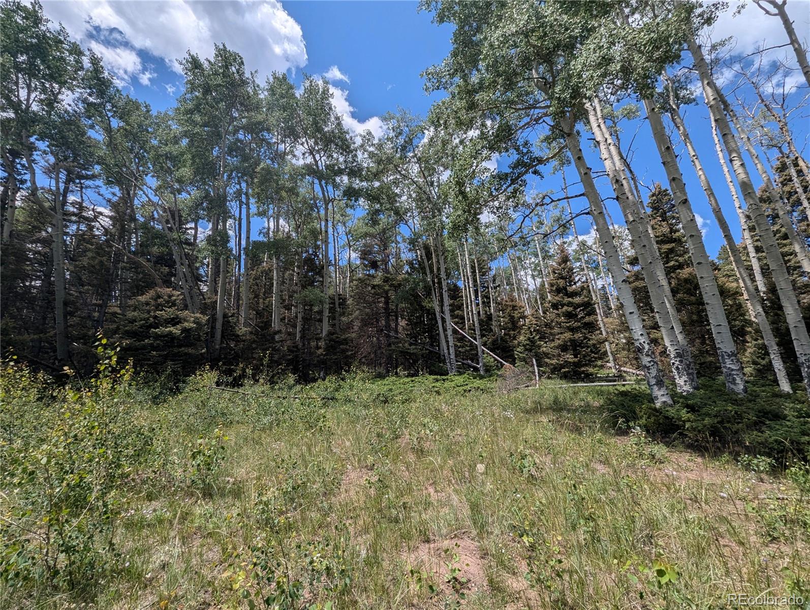 3070 Henderson Drive, Fort Garland, CO 81133, ,Land,For Sale,Henderson,REC6077709