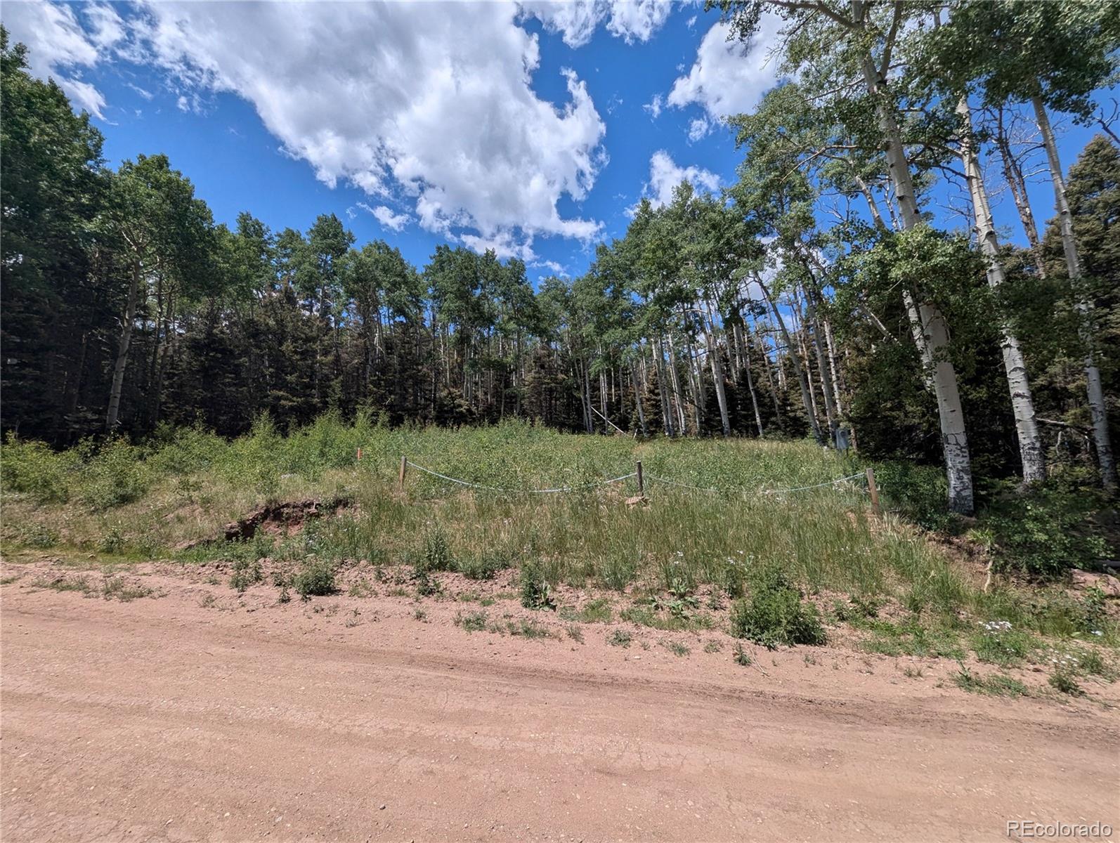 3070 Henderson Drive, Fort Garland, CO 81133, ,Land,For Sale,Henderson,REC6077709