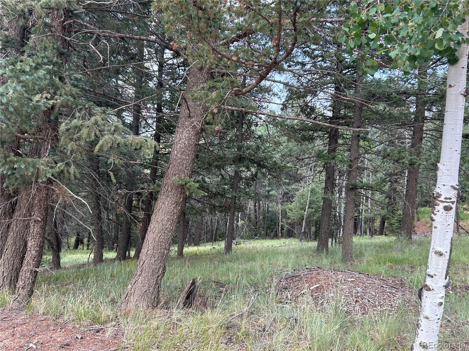 270 Southpark Road, Florissant, CO 80816, ,Land,For Sale,Southpark,REC6722649