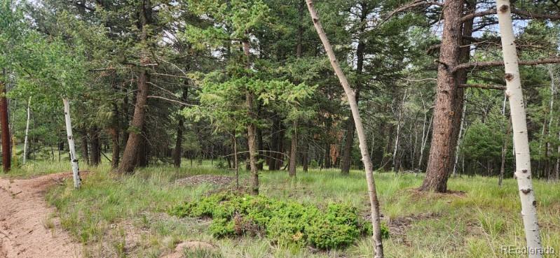 270 Southpark Road, Florissant, CO 80816, ,Land,For Sale,Southpark,REC6722649