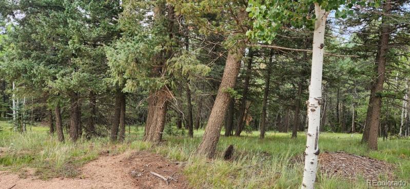 270 Southpark Road, Florissant, CO 80816, ,Land,For Sale,Southpark,REC6722649