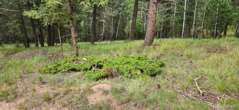 270 Southpark Road, Florissant, CO 80816, ,Land,For Sale,Southpark,REC6722649