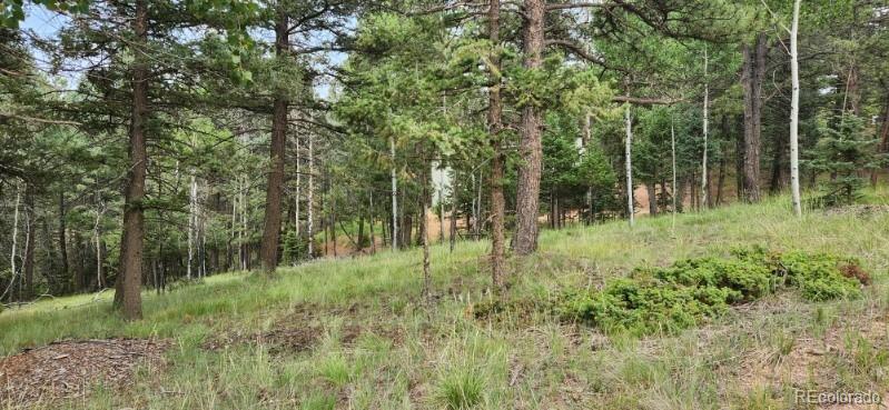 270 Southpark Road, Florissant, CO 80816, ,Land,For Sale,Southpark,REC6722649