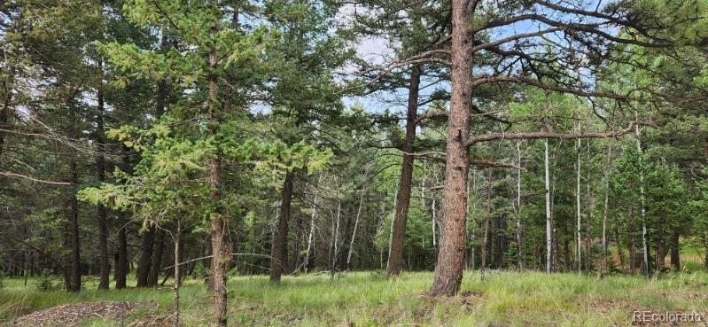 270 Southpark Road, Florissant, CO 80816, ,Land,For Sale,Southpark,REC6722649