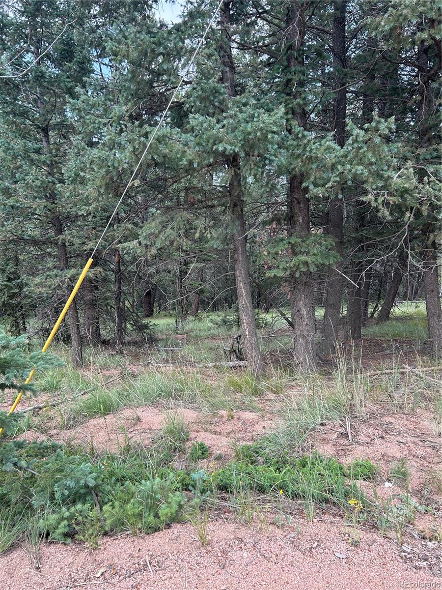 270 Southpark Road, Florissant, CO 80816, ,Land,For Sale,Southpark,REC6722649