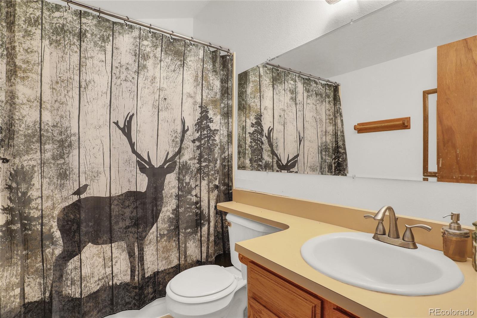 900 Ponderosa Way, Woodland Park, CO 80863, 4 Bedrooms Bedrooms, ,4 BathroomsBathrooms,Income,For Sale,Ponderosa,REC8261977