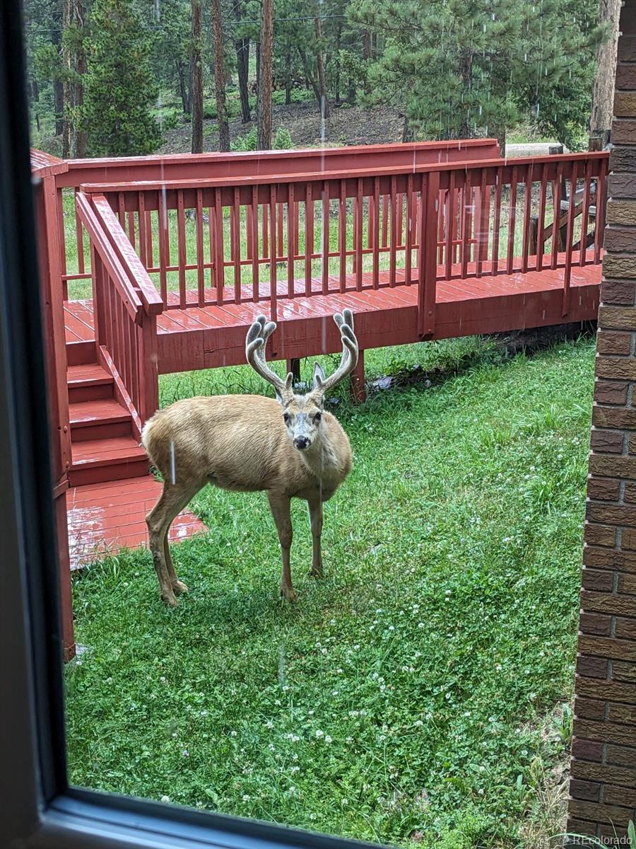 Restricted Address, 4 Bedrooms Bedrooms, ,3 BathroomsBathrooms,Residential,For Sale,Buena Vista,REC7393896