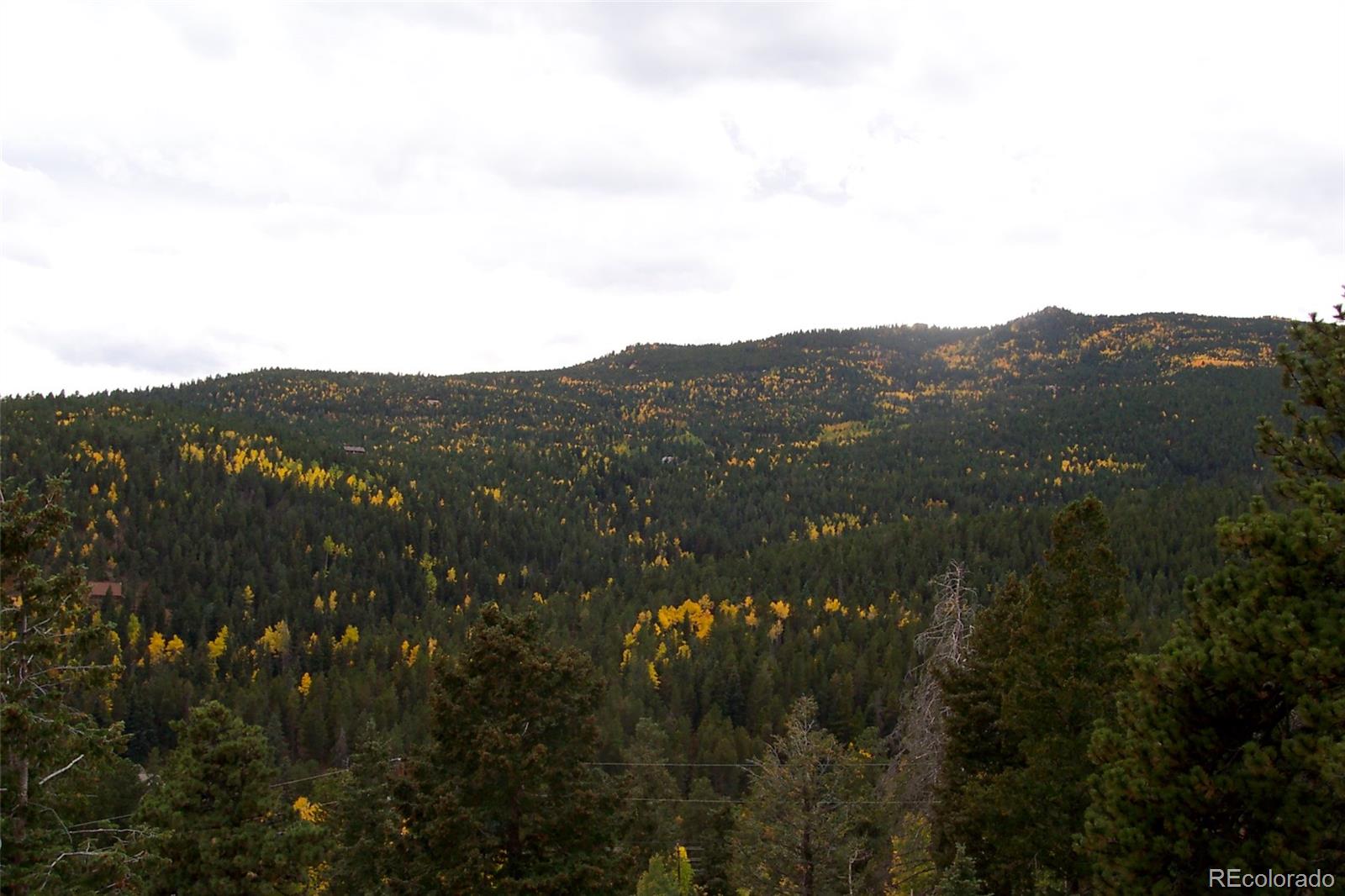 Restricted Address, 4 Bedrooms Bedrooms, ,3 BathroomsBathrooms,Residential,For Sale,Buena Vista,REC7393896