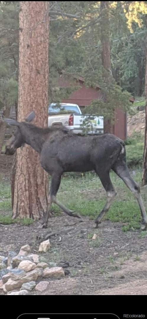 Restricted Address, 4 Bedrooms Bedrooms, ,3 BathroomsBathrooms,Residential,For Sale,Buena Vista,REC7393896