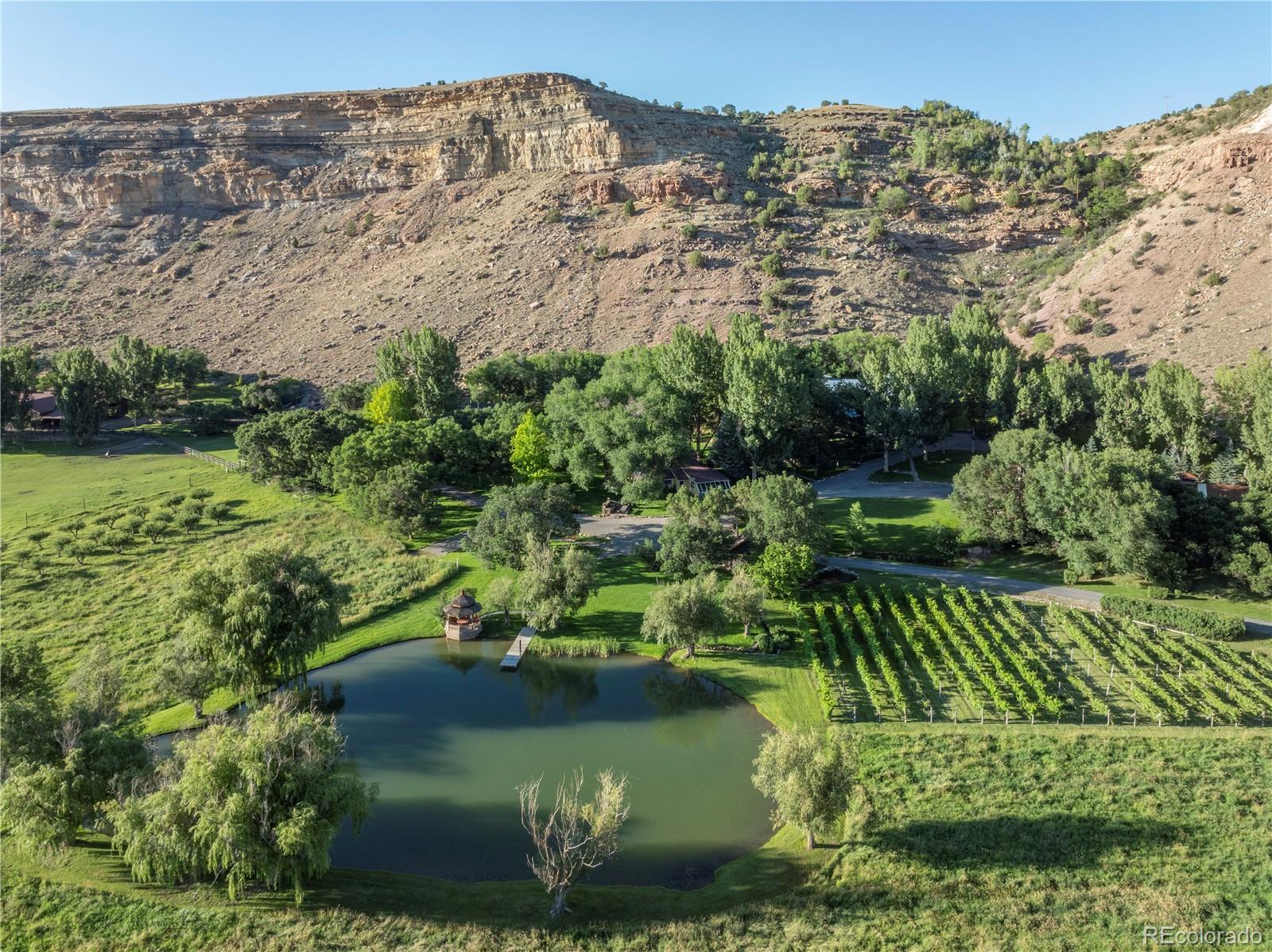 34074 Fruitland Mesa Road, Crawford, CO 81415, 10 Bedrooms Bedrooms, ,11 BathroomsBathrooms,Residential,For Sale,Fruitland Mesa,REC3134827