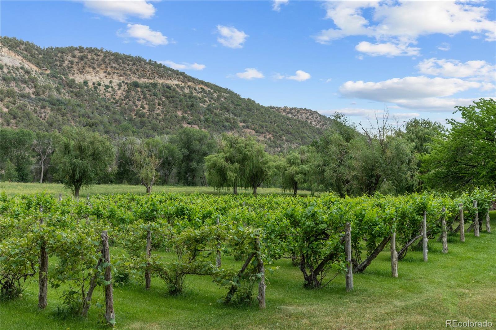 34074 Fruitland Mesa Road, Crawford, CO 81415, 10 Bedrooms Bedrooms, ,11 BathroomsBathrooms,Residential,For Sale,Fruitland Mesa,REC3134827