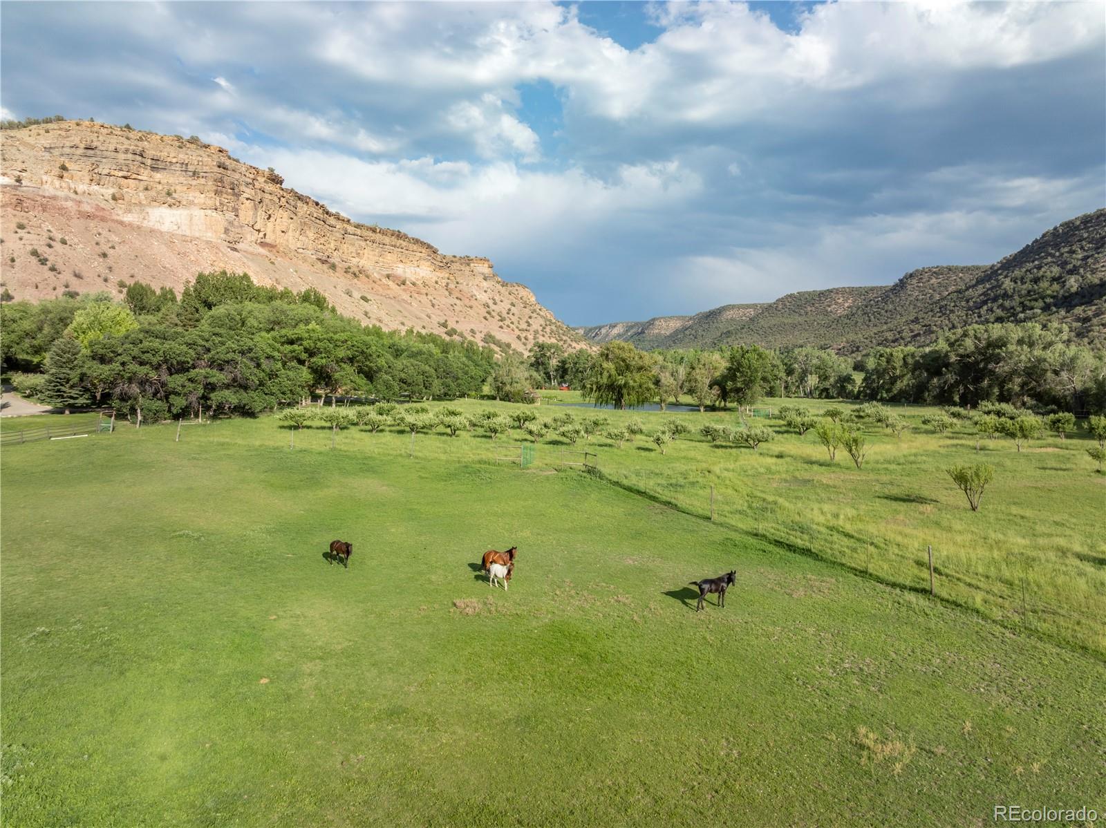 34074 Fruitland Mesa Road, Crawford, CO 81415, 10 Bedrooms Bedrooms, ,11 BathroomsBathrooms,Residential,For Sale,Fruitland Mesa,REC3134827