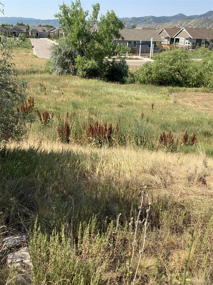 Restricted Address, Littleton, CO 80128, ,Land,For Sale,Carr,REC7427820