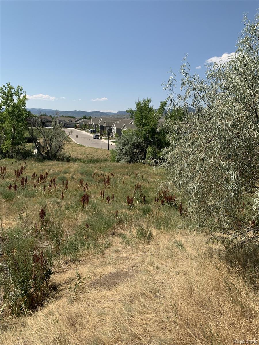 Restricted Address, Littleton, CO 80128, ,Land,For Sale,Carr,REC7427820