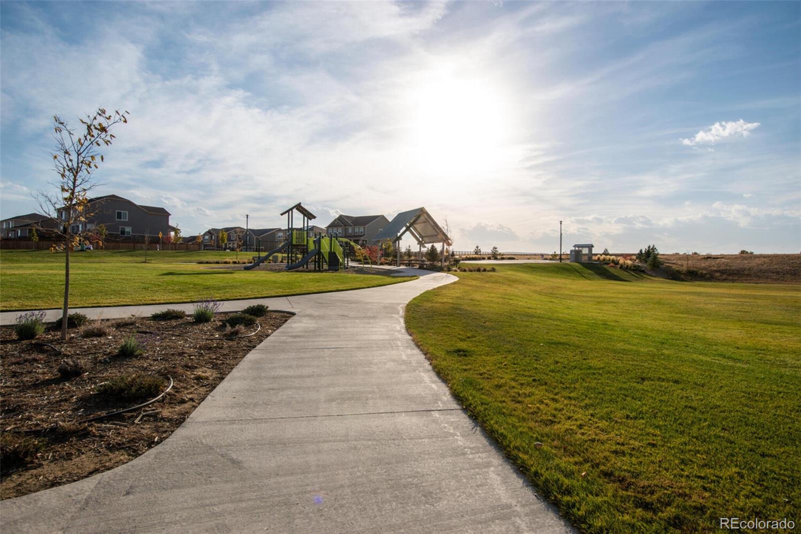 1181 170th Avenue, Broomfield, CO 80023, 4 Bedrooms Bedrooms, ,3 BathroomsBathrooms,Residential,For Sale,170th,REC2589169