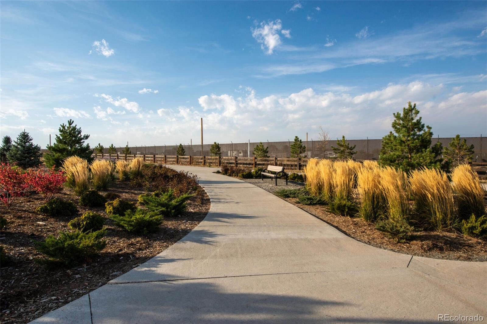 1181 170th Avenue, Broomfield, CO 80023, 4 Bedrooms Bedrooms, ,3 BathroomsBathrooms,Residential,For Sale,170th,REC2589169