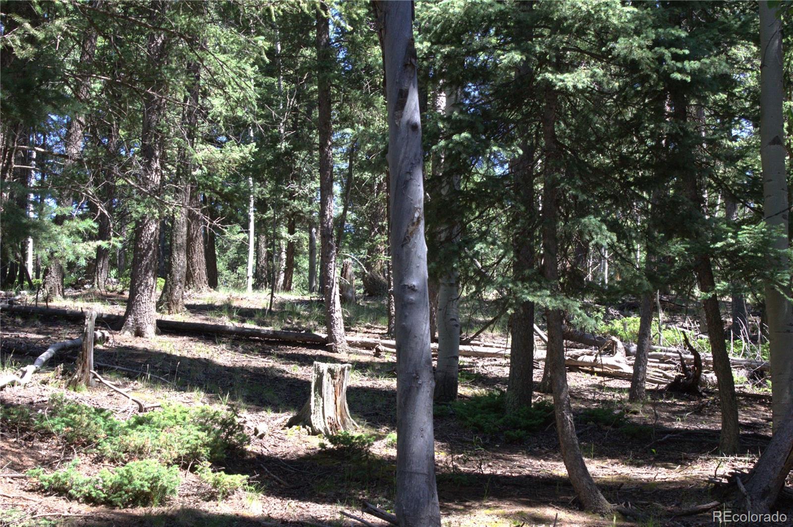 358 Pawutsy Road, Florissant, CO 80816, ,Land,For Sale,Pawutsy,REC9499360