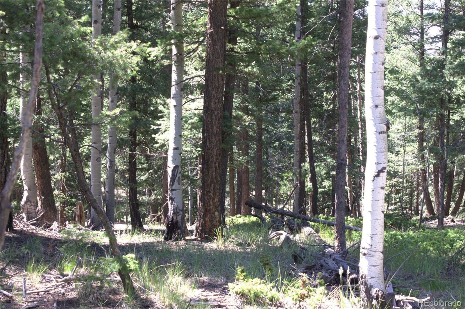 358 Pawutsy Road, Florissant, CO 80816, ,Land,For Sale,Pawutsy,REC9499360