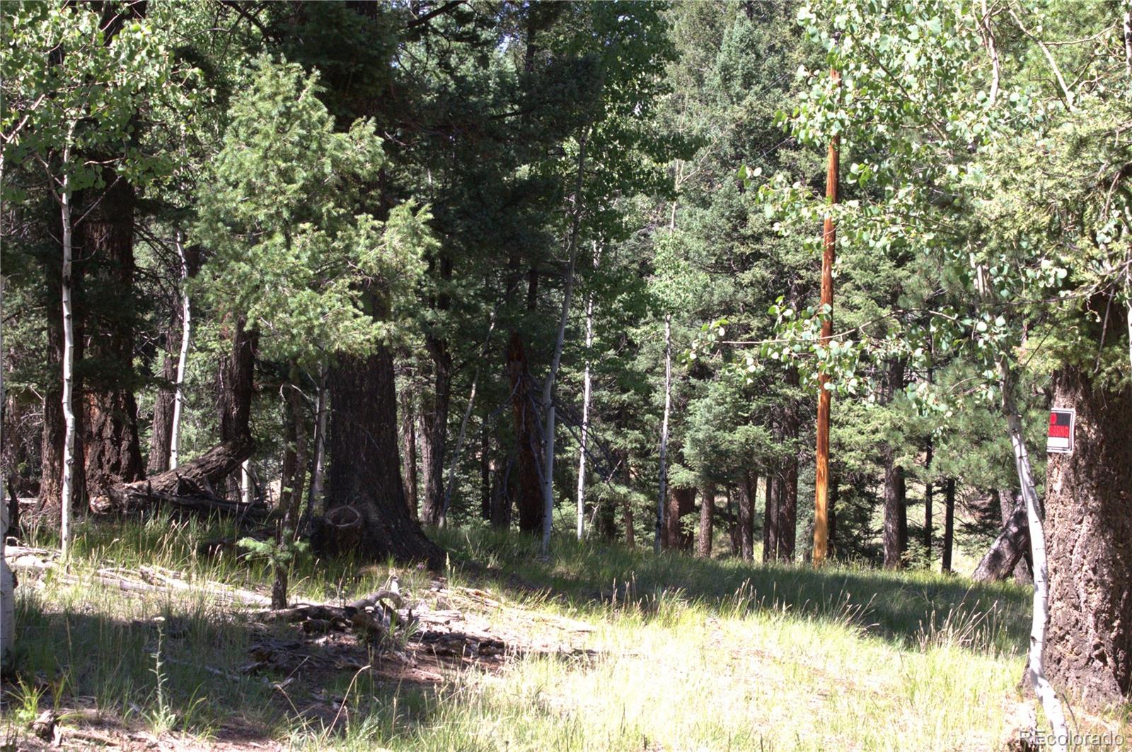 358 Pawutsy Road, Florissant, CO 80816, ,Land,For Sale,Pawutsy,REC9499360