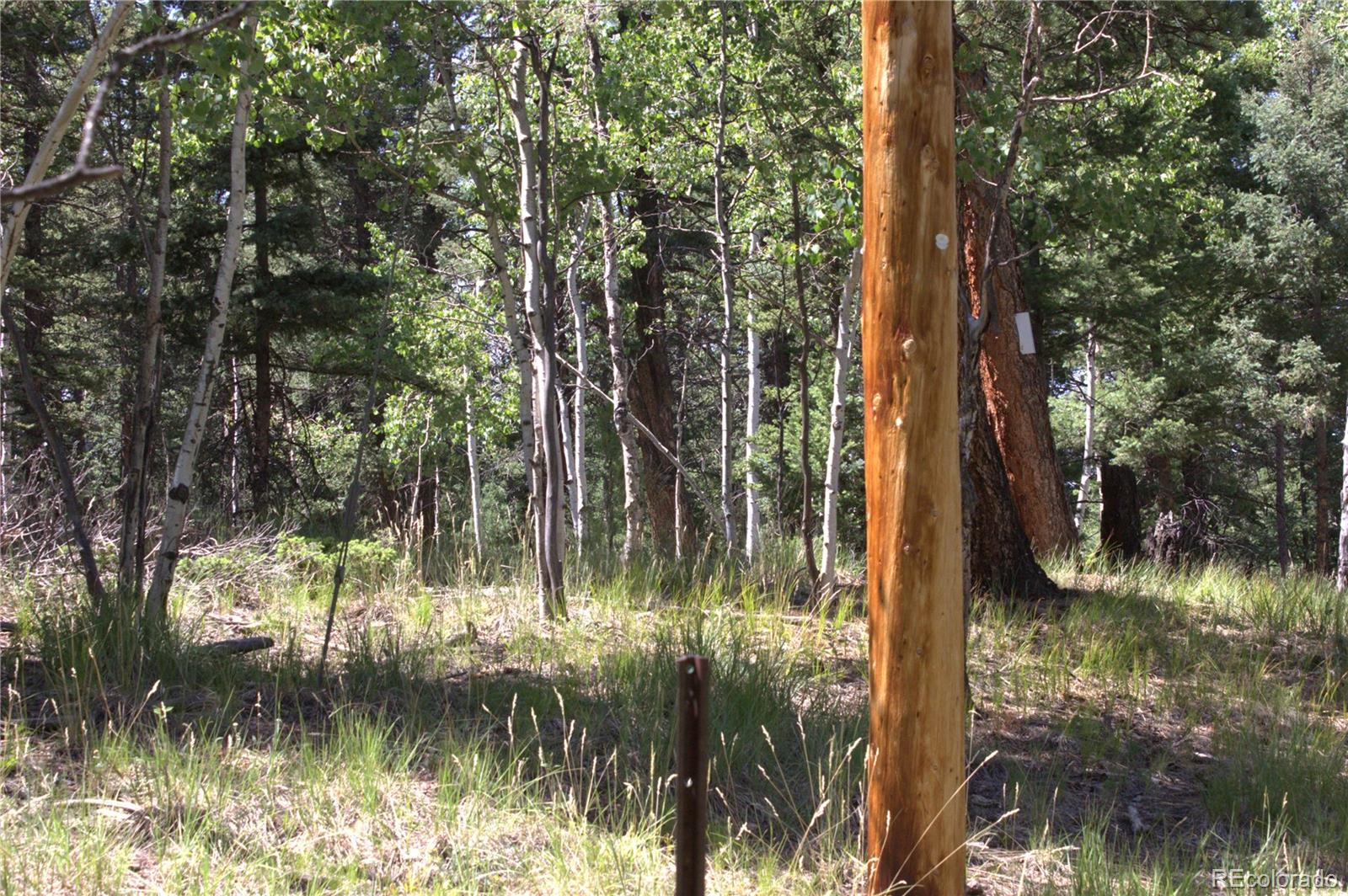 358 Pawutsy Road, Florissant, CO 80816, ,Land,For Sale,Pawutsy,REC9499360