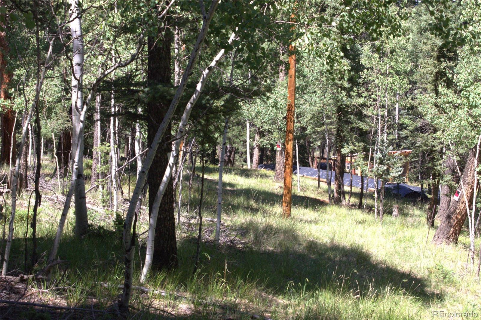 358 Pawutsy Road, Florissant, CO 80816, ,Land,For Sale,Pawutsy,REC9499360