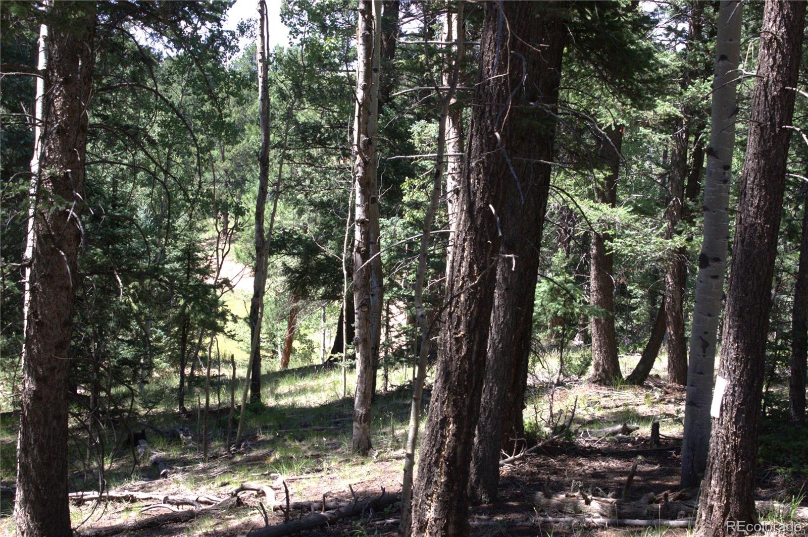 358 Pawutsy Road, Florissant, CO 80816, ,Land,For Sale,Pawutsy,REC9499360