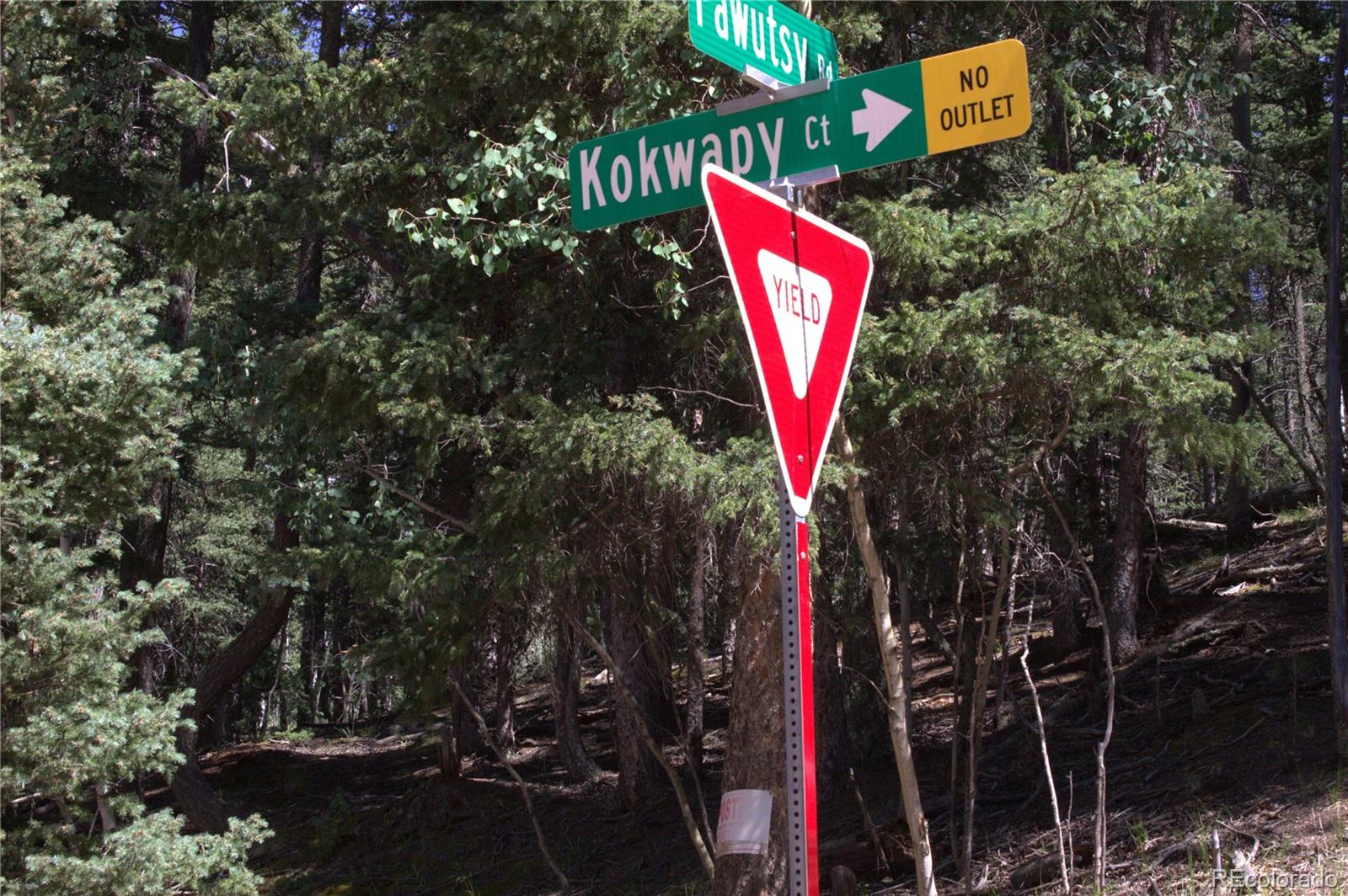 358 Pawutsy Road, Florissant, CO 80816, ,Land,For Sale,Pawutsy,REC9499360