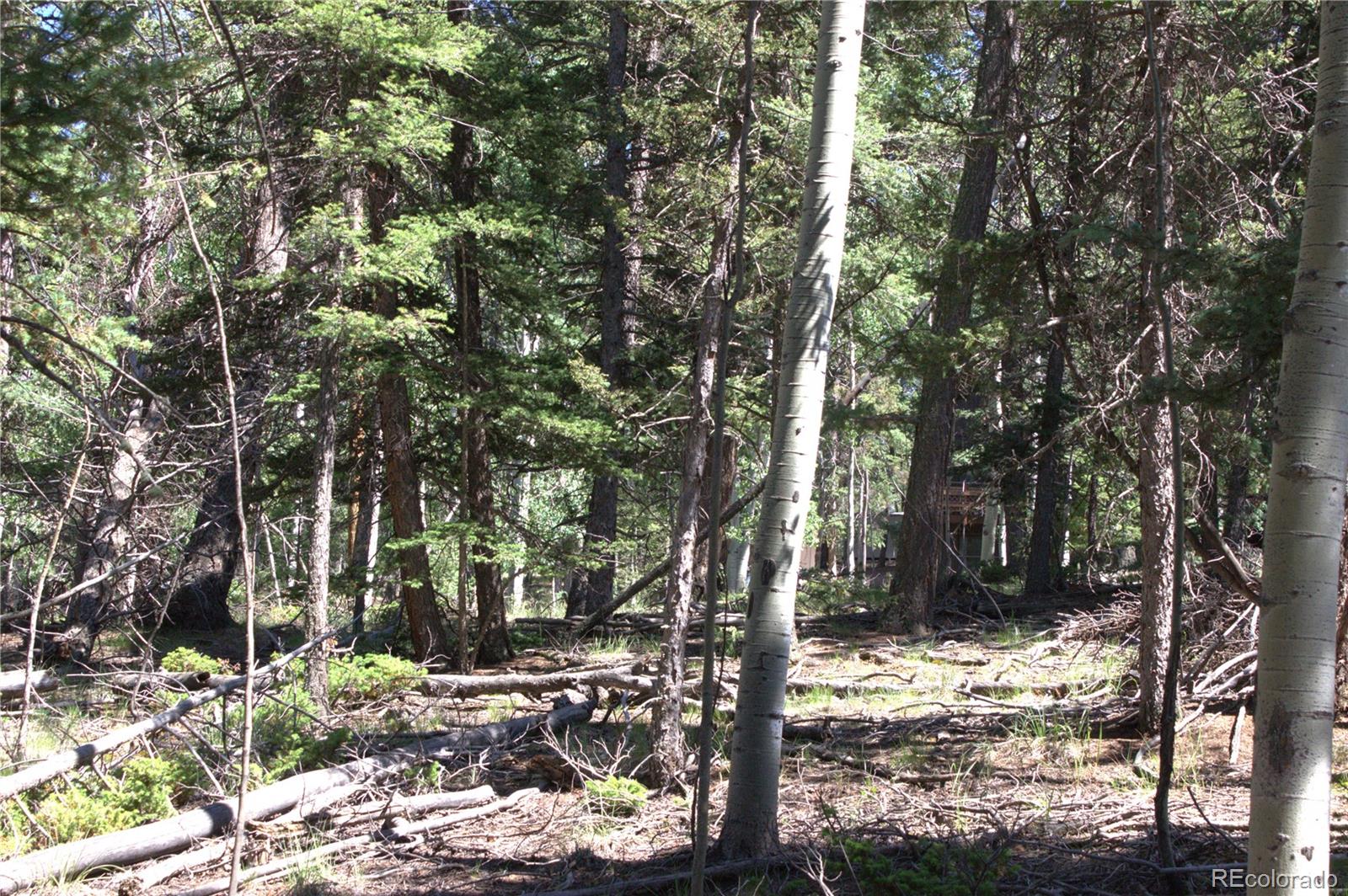 358 Pawutsy Road, Florissant, CO 80816, ,Land,For Sale,Pawutsy,REC9499360