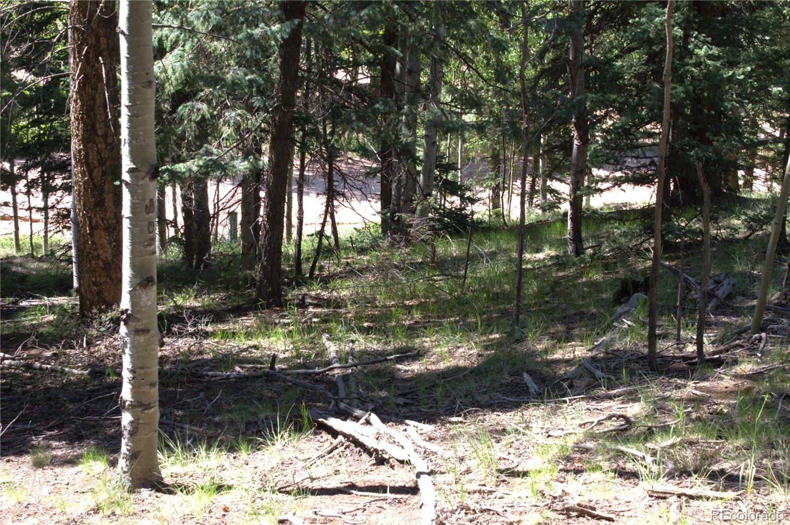 358 Pawutsy Road, Florissant, CO 80816, ,Land,For Sale,Pawutsy,REC9499360