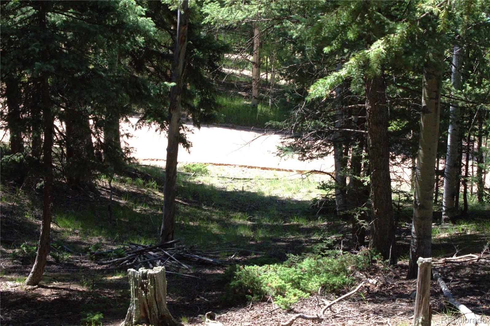358 Pawutsy Road, Florissant, CO 80816, ,Land,For Sale,Pawutsy,REC9499360