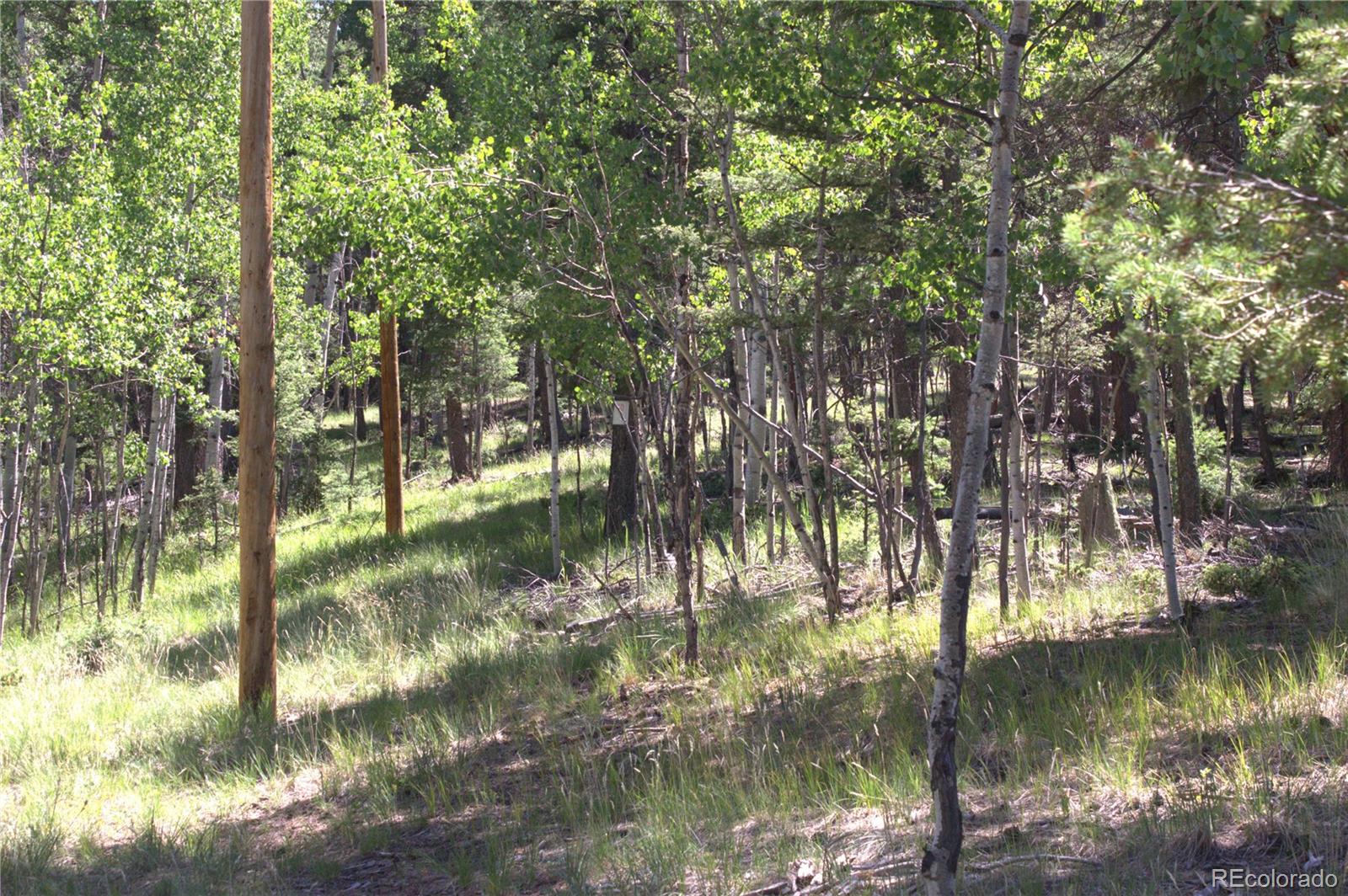358 Pawutsy Road, Florissant, CO 80816, ,Land,For Sale,Pawutsy,REC9499360