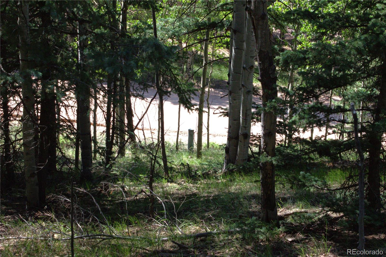358 Pawutsy Road, Florissant, CO 80816, ,Land,For Sale,Pawutsy,REC9499360