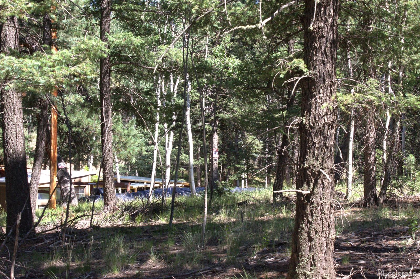 358 Pawutsy Road, Florissant, CO 80816, ,Land,For Sale,Pawutsy,REC9499360