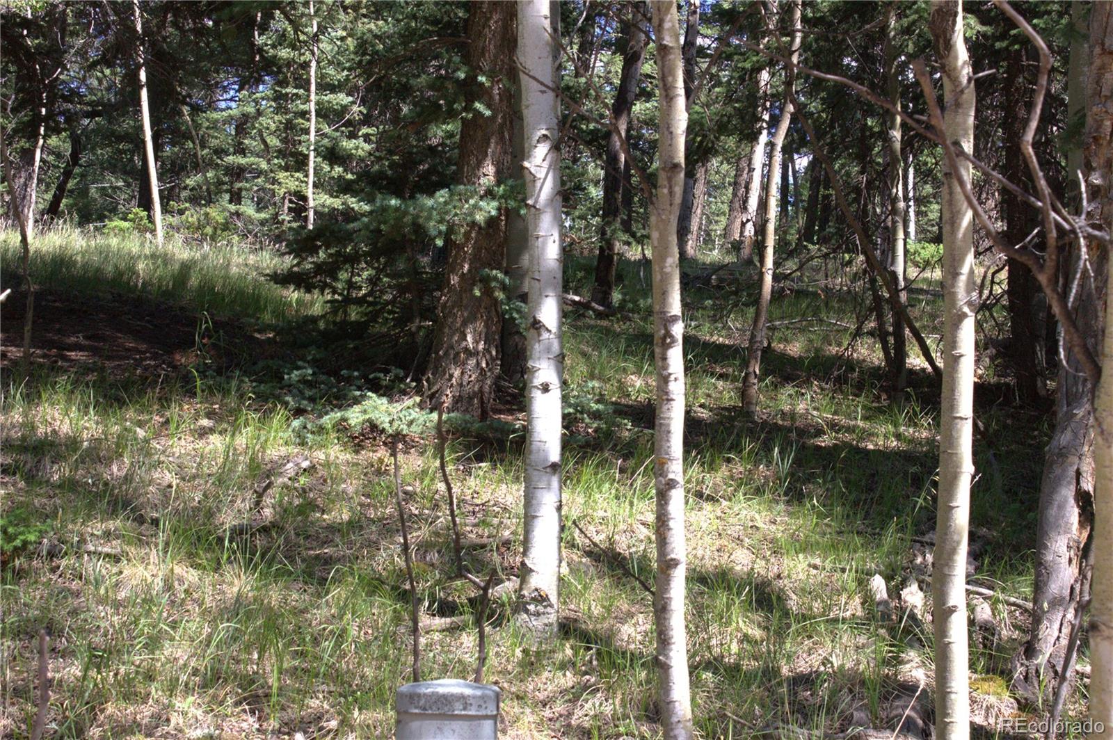 358 Pawutsy Road, Florissant, CO 80816, ,Land,For Sale,Pawutsy,REC9499360