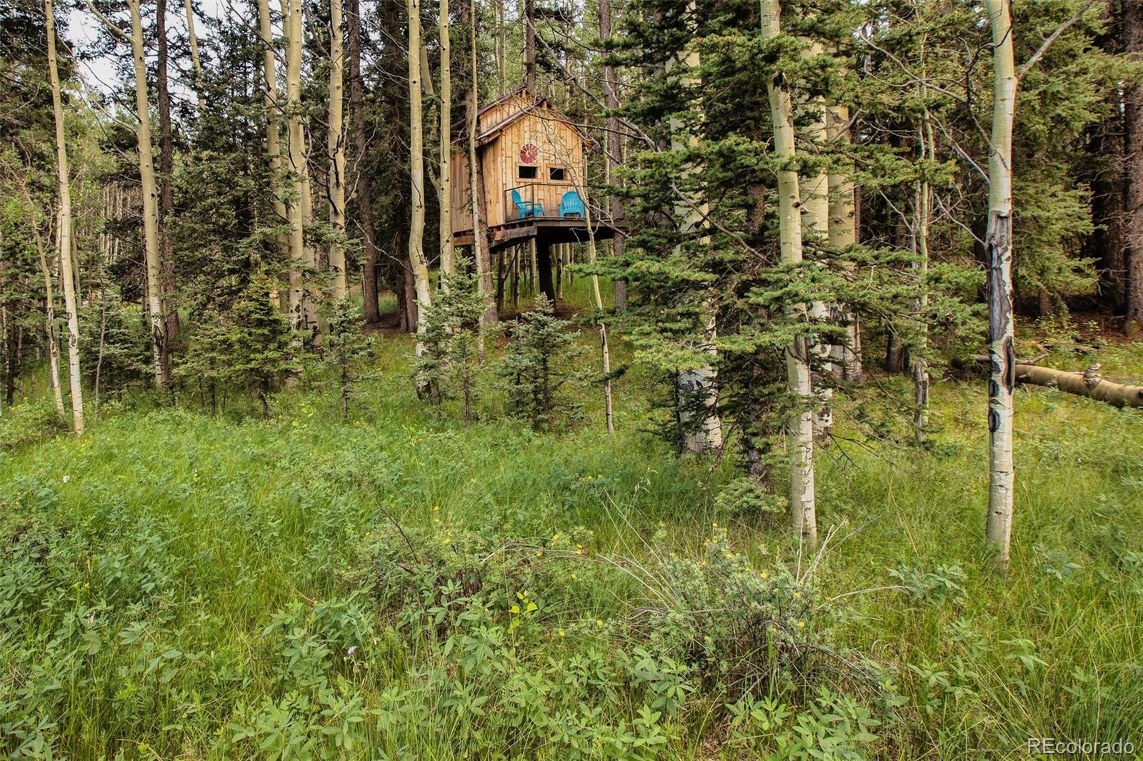 284 County Road 511, Divide, CO 80814, 5 Bedrooms Bedrooms, ,4 BathroomsBathrooms,Residential,For Sale,County Road 511,REC7137534