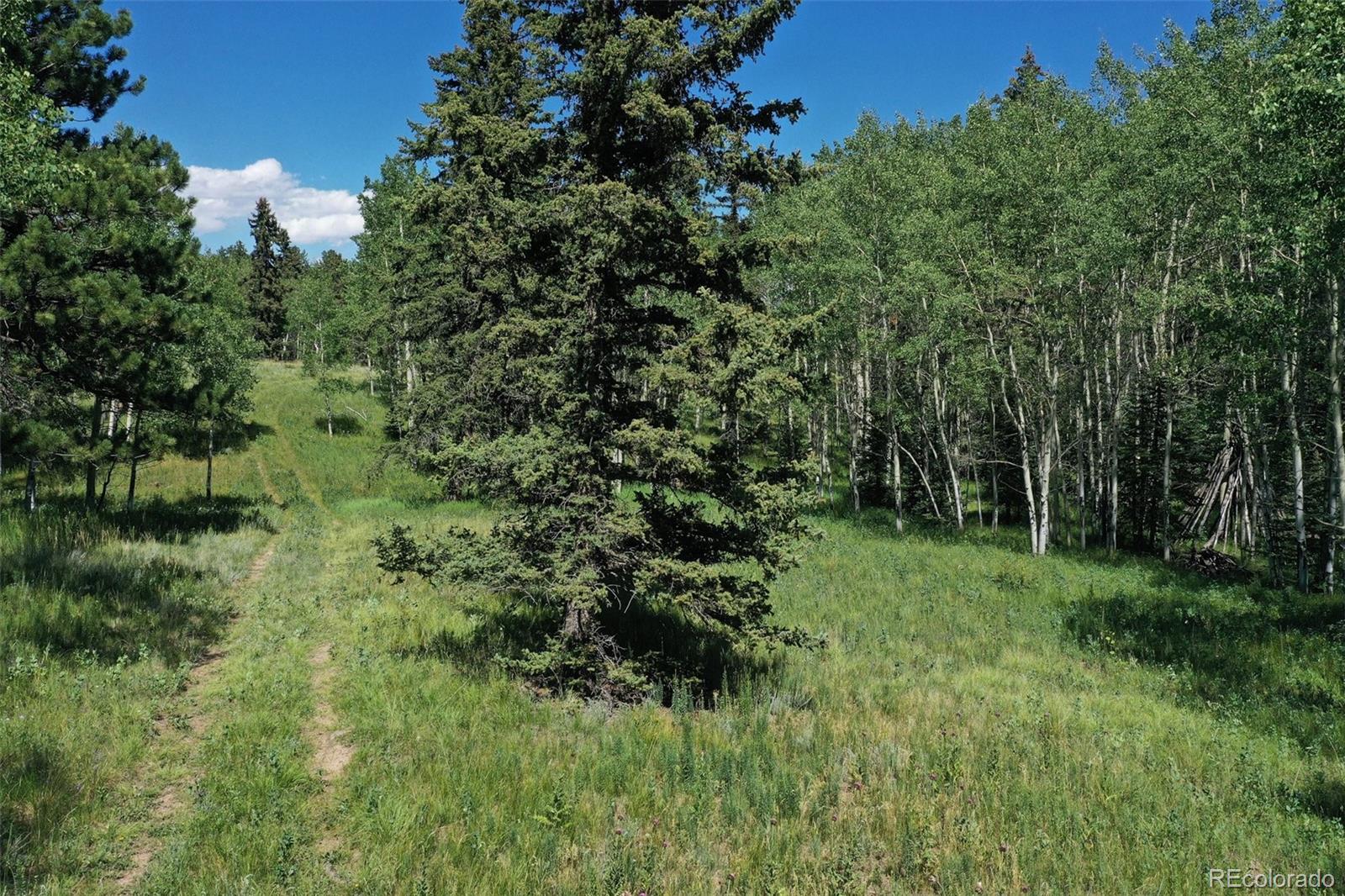 284 County Road 511, Divide, CO 80814, 5 Bedrooms Bedrooms, ,4 BathroomsBathrooms,Residential,For Sale,County Road 511,REC7137534